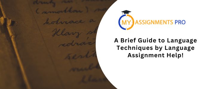 A Brief Guide to Language Techniques by Language Assignment Help!