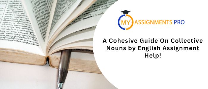 A Cohesive Guide On Collective Nouns