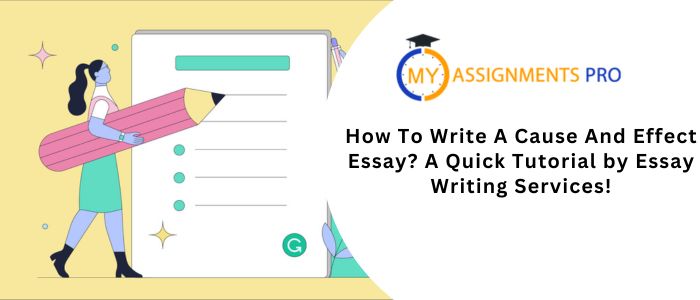 How To Write A Cause And Effect Essay?