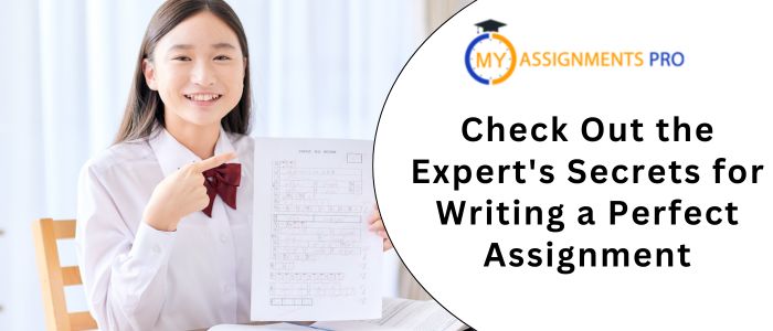 Check Out the Expert's Secrets for Writing a Perfect Assignment