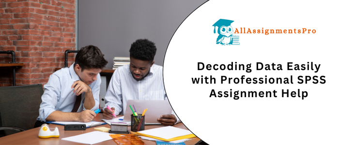 SPSS Assignment Help for Research, Statistics & Data Analysis