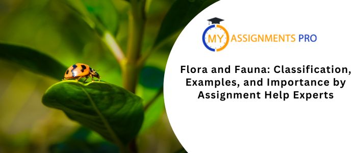 Flora and Fauna: Classification, Examples, and Importance
