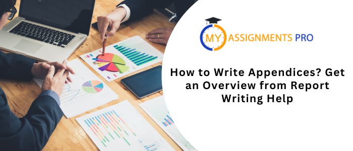 How to Write Appendices? Get an Overview from Report Writing Help