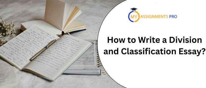 How to Write a Division and Classification Essay