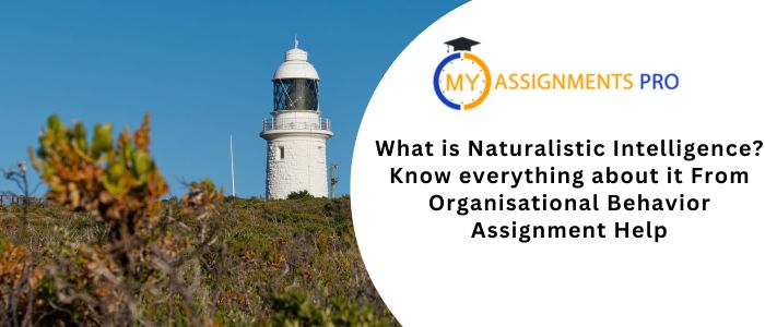What is Naturalistic Intelligence? Know everything about it