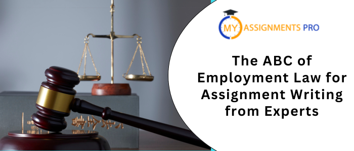 The ABC of Employment Law for Assignment Writing from Experts