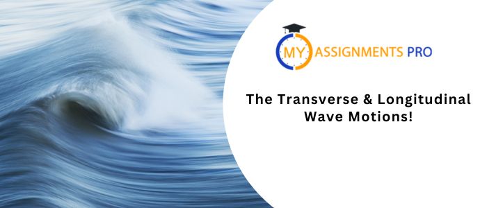 The Transverse & Longitudinal Wave Motions!