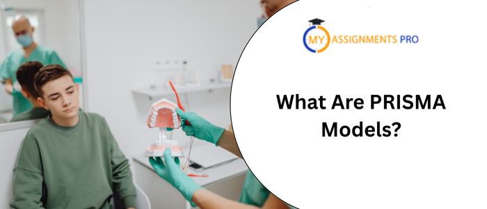 What Are PRISMA Models?