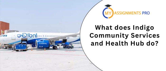 What does Indigo Community Services and Health Hub do?
