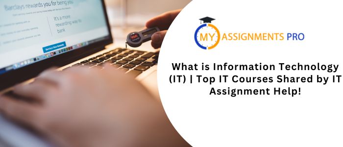 What is Information Technology (IT) | Top IT Courses Shared by IT Assignment Help!