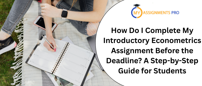 How Do I Complete My Introductory Econometrics Assignment Before the Deadline? A Step-by-Step Guide for Students