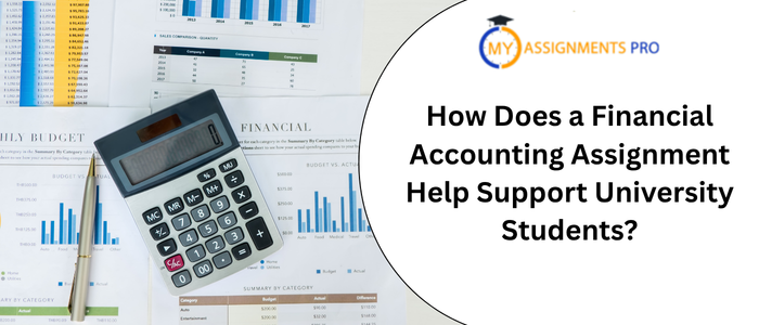 How Does a Financial Accounting Assignment Help Support University Students?