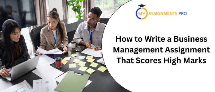 How to Write a Business Management Assignment That Scores High Marks