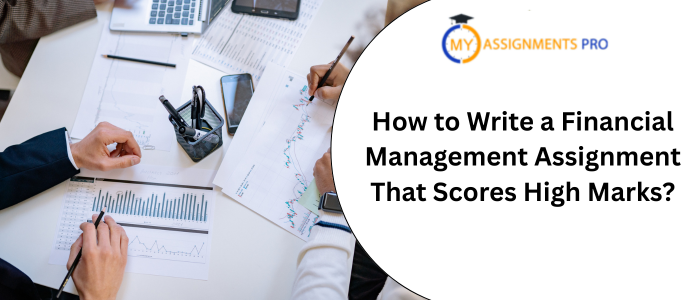 How to Write a Financial Management Assignment That Scores High Marks?