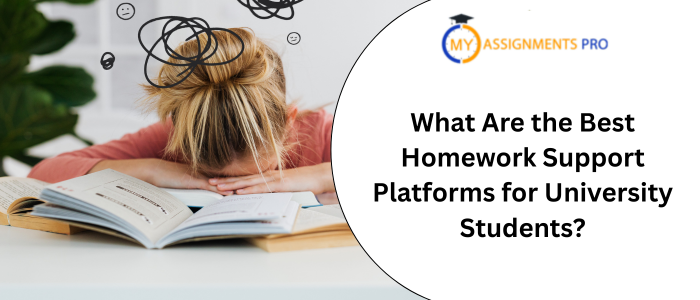 What Are the Best Homework Support Platforms for University Students