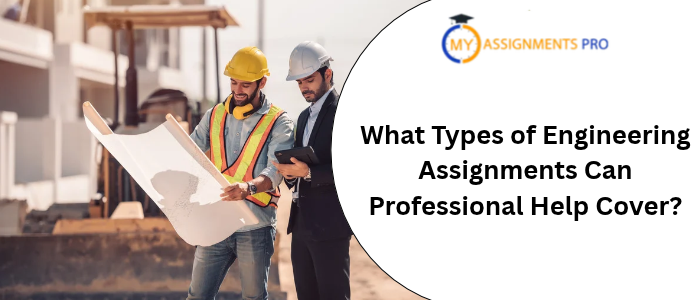 What Types of Engineering Assignments Can Professional Help Cover?