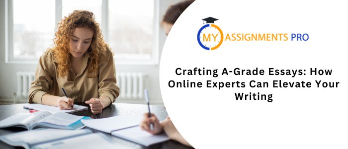Crafting A-Grade Essays: How Online Experts Can Elevate Your Writing