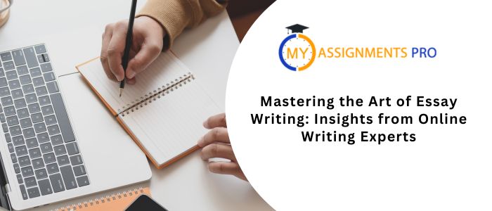 Mastering the Art of Essay Writing: Insights from Online Writing Experts