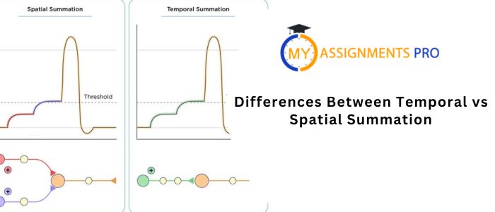 Differences Temporal Vs. Spatial Summation