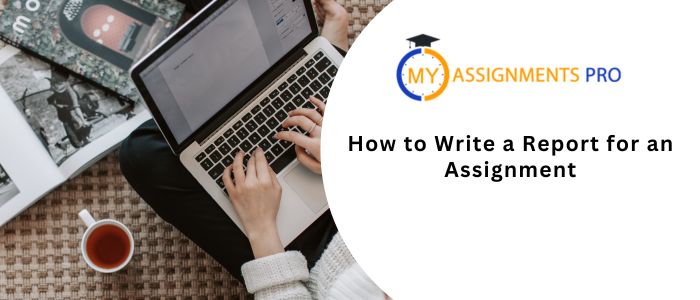How to write a report for an assignment? Report Writing Help